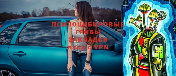 СК Богородицк