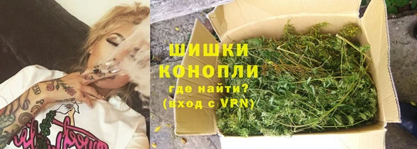 гидра Бронницы